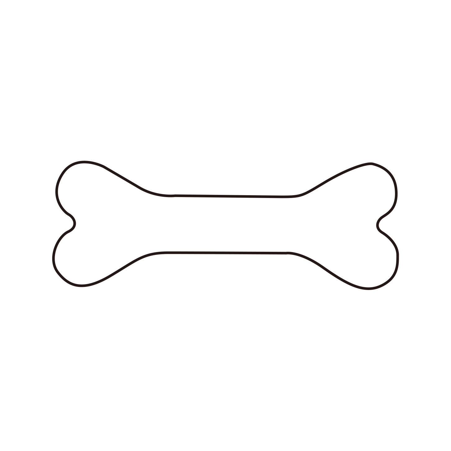 Pet Accessories